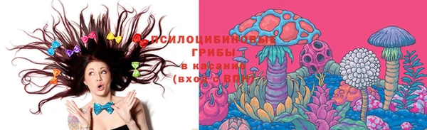 стаф Лагань