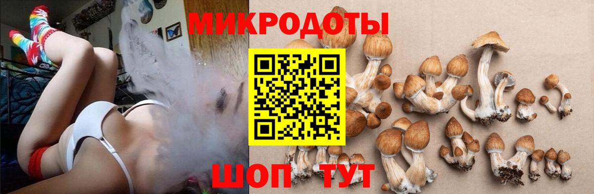 Галлюциногенные грибы Magic Shrooms  Вход с VPN  Сочи 